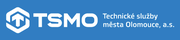 TSMO
